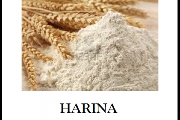 harina601A1CF6-91E4-2CA1-9103-82B063478679.jpg