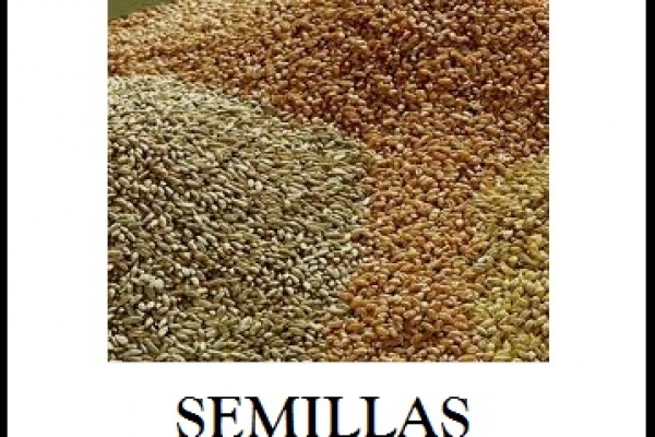 semillas1CF03EB92-7F5D-96B3-9220-98781E9191D7.jpg